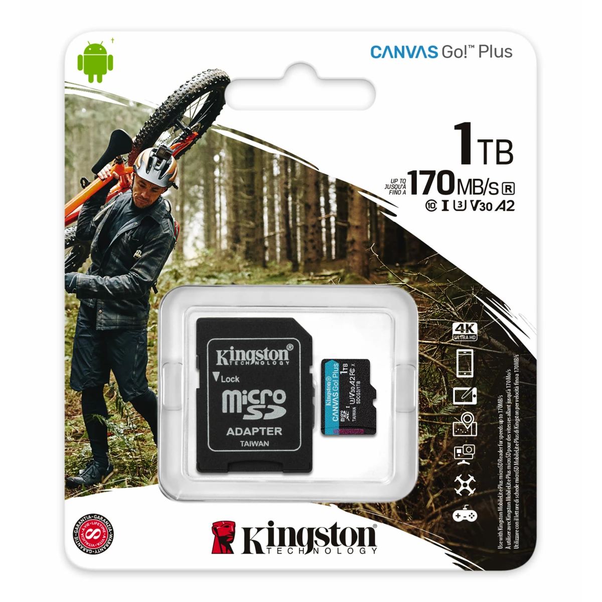 Galery – Kingston Technology Canvas Go! Plus 1 TB MicroSD UHS-I Classe 100