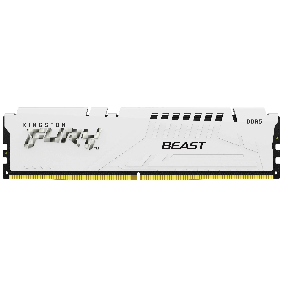 Galery – Kingston Technology FURY Beast módulo de memória 32 GB 1 x 32 GB DDR50