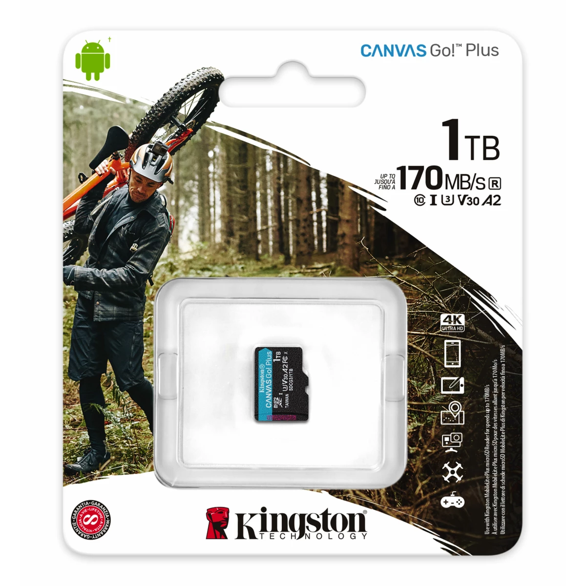 Galery – Kingston Technology Canvas Go! Plus 1 TB MicroSD UHS-I Classe 100