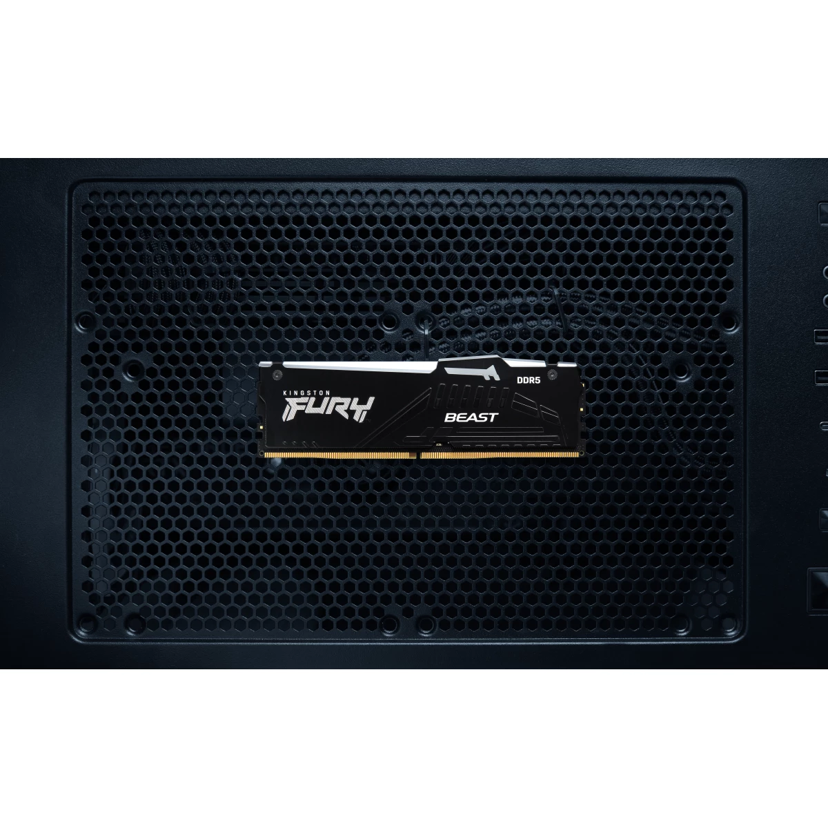 Galery – Kingston Technology FURY Beast RGB módulo de memória 32 GB 1 x 32 GB DDR5 ECC0