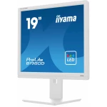 Galery – iiyama ProLite B1980D-W5 monitor de ecrã 48,3 cm (19″) 1280 x 1024 pixels SXGA LCD Branco0