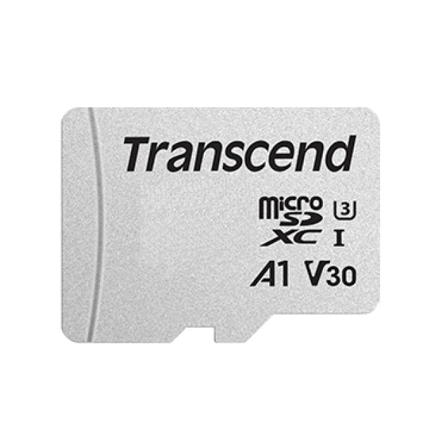 Thumbnail-MicroSD w/o adapter 4GB Class10