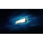 Galery – Kingston Technology NV3 500 GB M.2 PCI Express 4.0 NVMe 3D NAND0