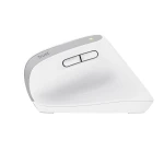 Galery – Trust Bayo+ rato Escritório Mão direita RF Wireless + Bluetooth Ótico 2400 DPI0