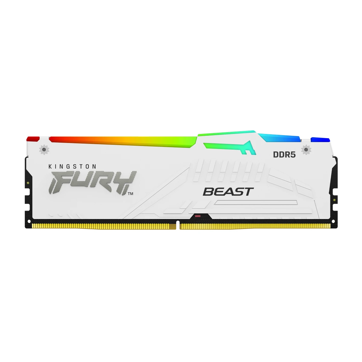 Galery – Kingston Technology FURY Beast RGB módulo de memória 16 GB 1 x 16 GB DDR50