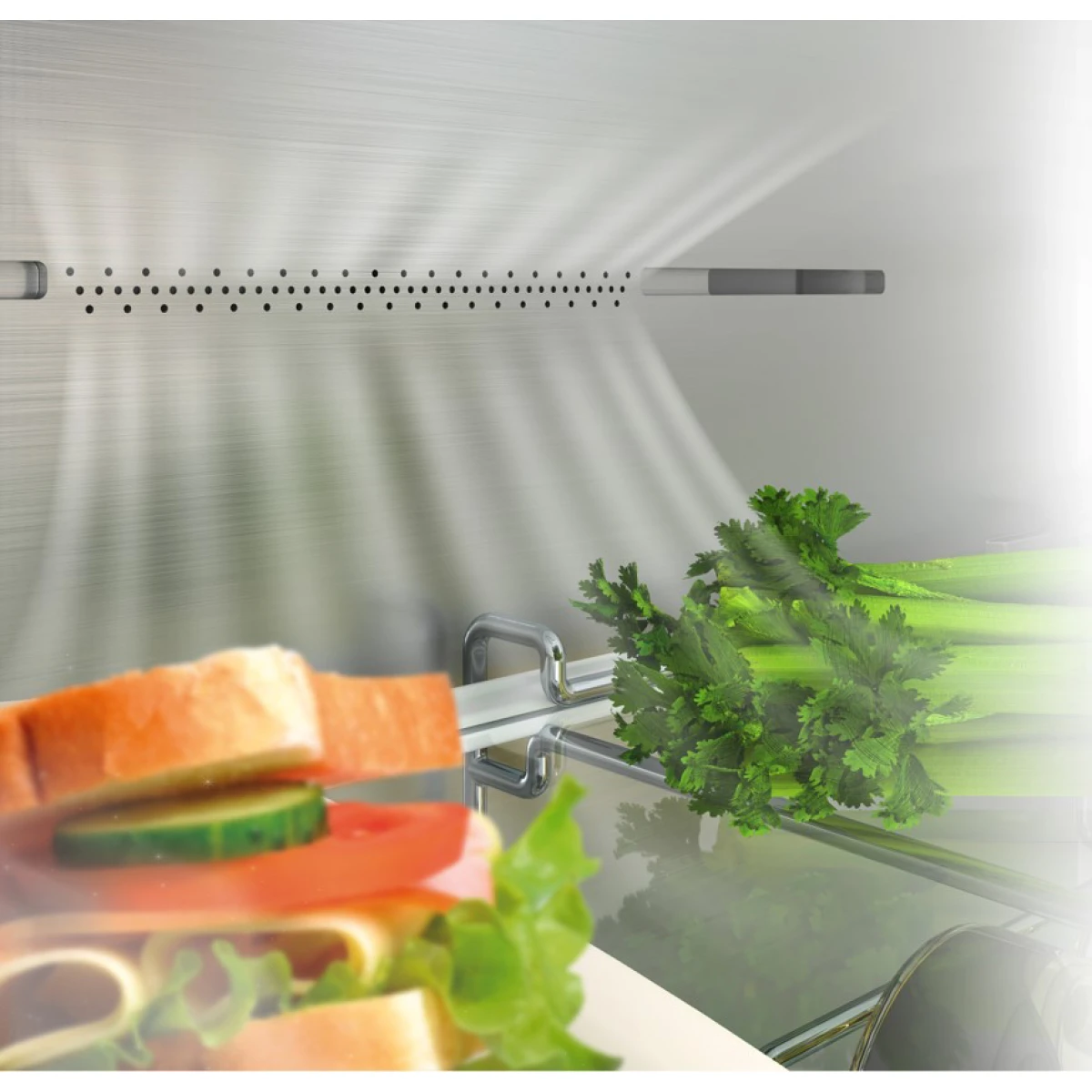 Galery – COMBINADO HISENSE – RB440N4ACD0