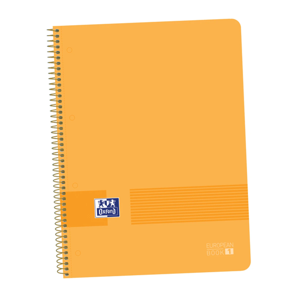 Thumbnail-Caderno Plástico Oxford Live&Go A4+ – Capa Dura – Formato A4+ – 80 Folhas Quadradas 5×5