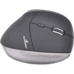 Bluestork M-WL-ERGO-BK mouse RF sem fio direito 1200 DPI