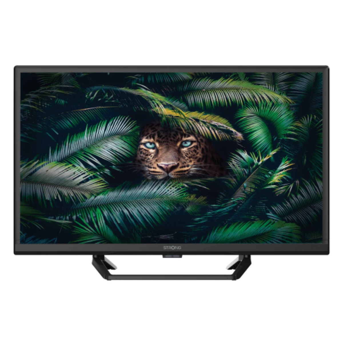 Forte SRT 24HE4023C 61 cm (24") HD Preto 180 cd / m²