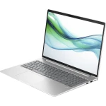 HP ProBook 460 G11 Intel Core Ultra 7 155U Computador portátil 40,6 cm (16") WUXGA 16 GB DDR5-SDRAM 512 GB SSD Wi-Fi 6E (802.11ax) Windows 11 Pro Prateado