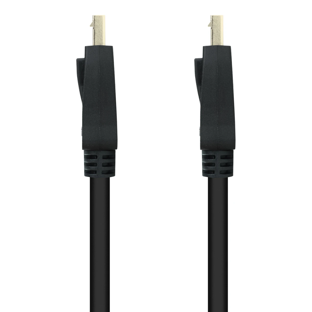 Nanocable 10.15.2602 cabo DisplayPort 2 m Preto