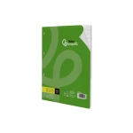 Recambio liderpapel a4 100 hojas 100g/m2 pauta 4 3,5mm con margen 4 taladros