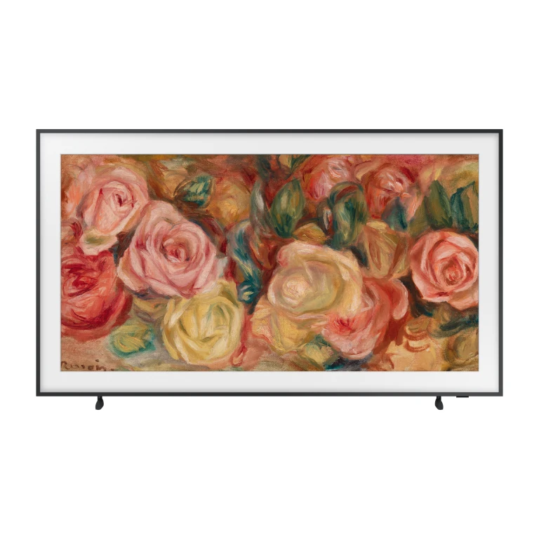QLED SAMSUNG - TQ65LS03DAUXXC