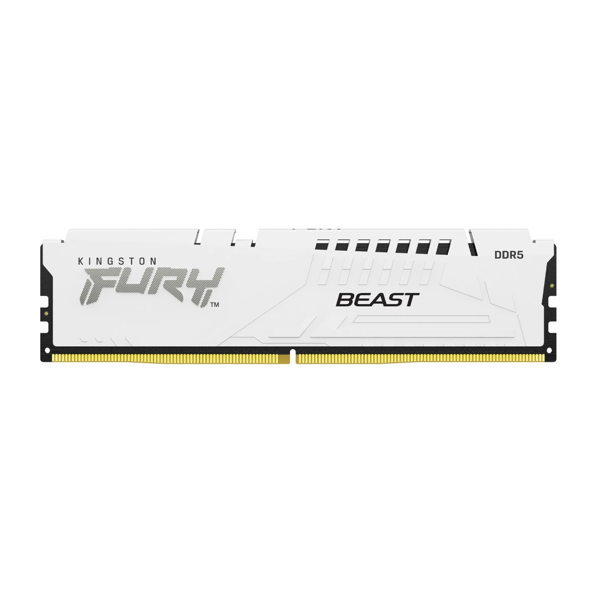 16GB 5200MT/s DDR5 CL40 DIMM FURY Beast White XMP