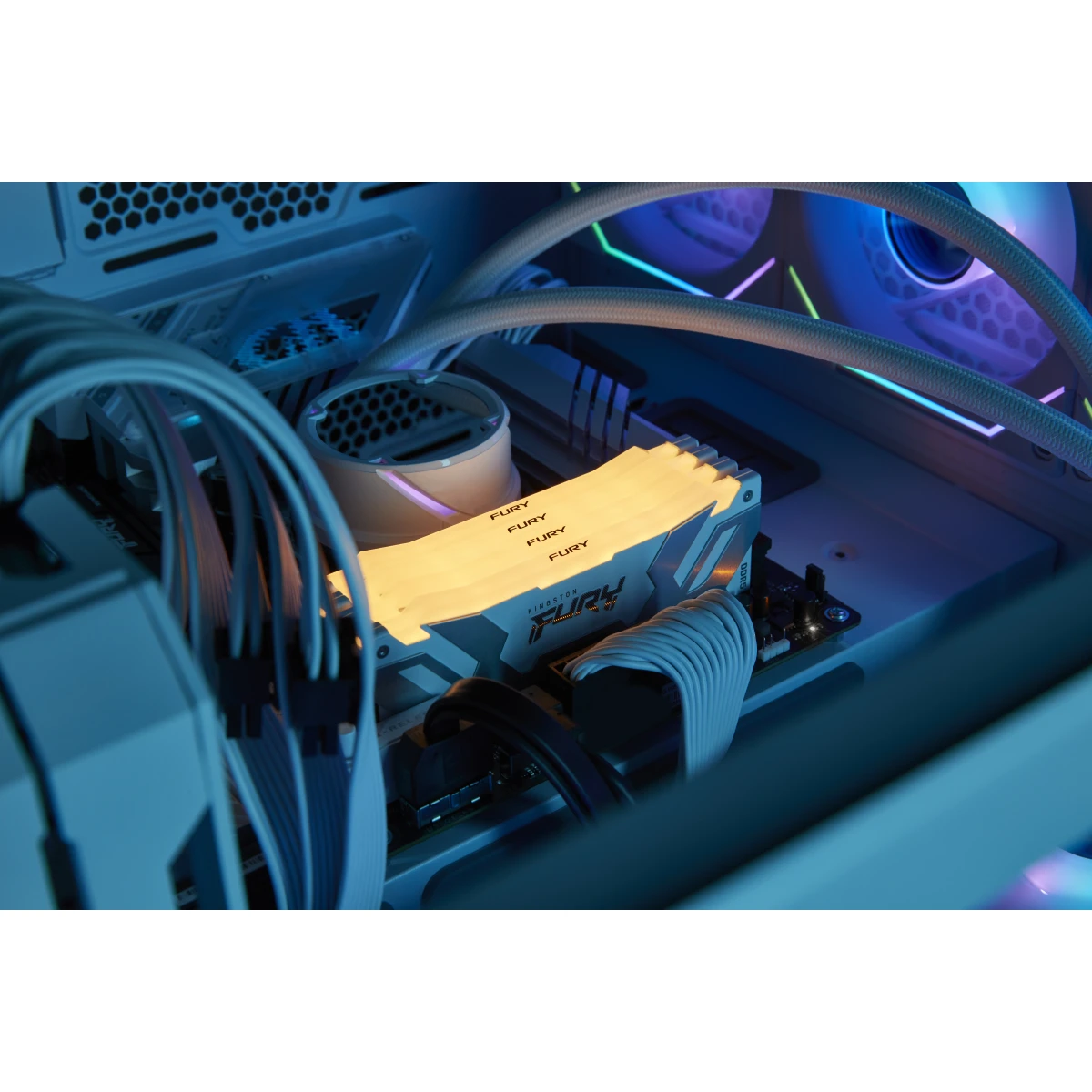 Kingston Technology FURY Renegade RGB módulo de memória 16 GB 1 x 16 GB DDR5